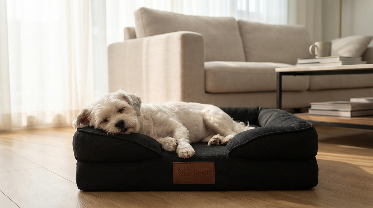 cama ortopedica petus con memoryfoam